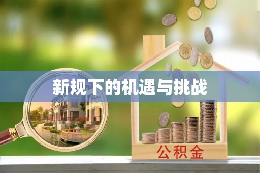 尖石新规下的机遇与挑战