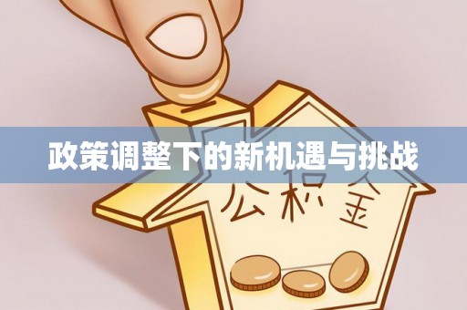 尖石政策调整下的新机遇与挑战