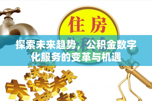 尖石探索未来趋势，公积金数字化服务的变革与机遇