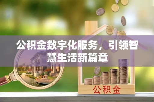 尖石公积金数字化服务，引领智慧生活新篇章