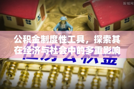 尖石公积金制度性工具，探索其在经济与社会中的多重影响