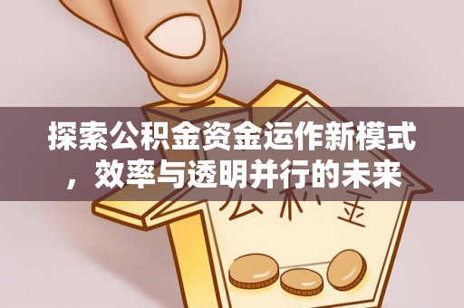 尖石探索公积金资金运作新模式，效率与透明并行的未来