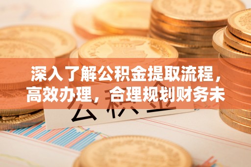 尖石深入了解公积金提取流程，高效办理，合理规划财务未来