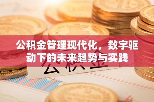 尖石公积金管理现代化，数字驱动下的未来趋势与实践