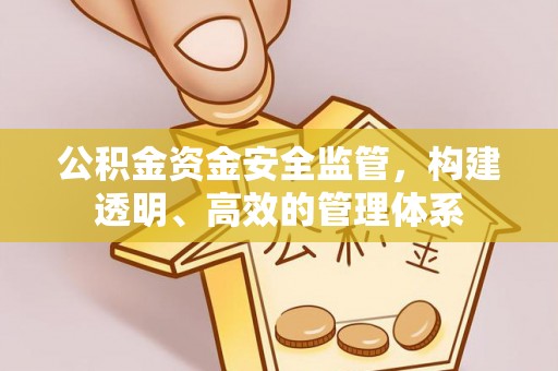 尖石公积金资金安全监管，构建透明、高效的管理体系