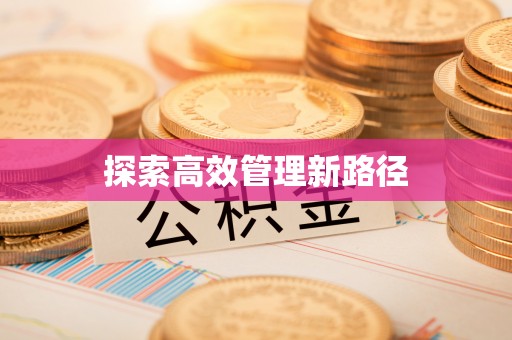 尖石探索高效管理新路径