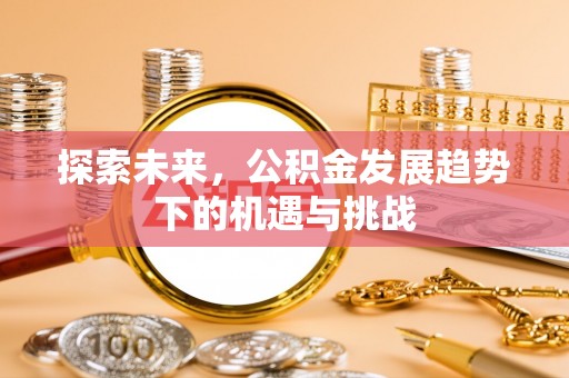 尖石探索未来，公积金发展趋势下的机遇与挑战