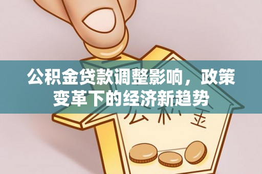 尖石公积金贷款调整影响，政策变革下的经济新趋势