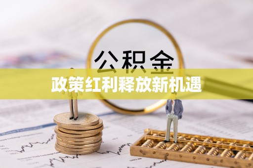 尖石政策红利释放新机遇
