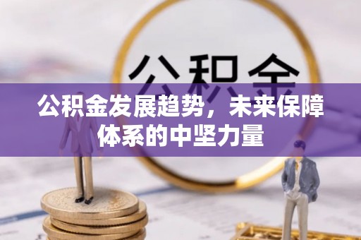 尖石公积金发展趋势，未来保障体系的中坚力量