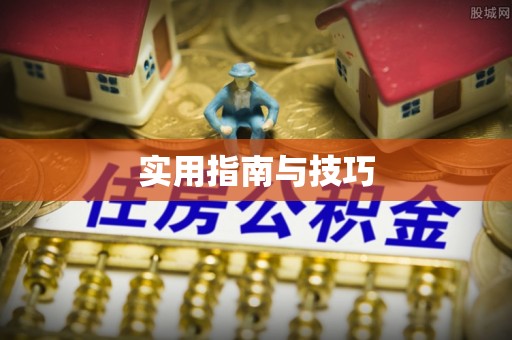 尖石实用指南与技巧