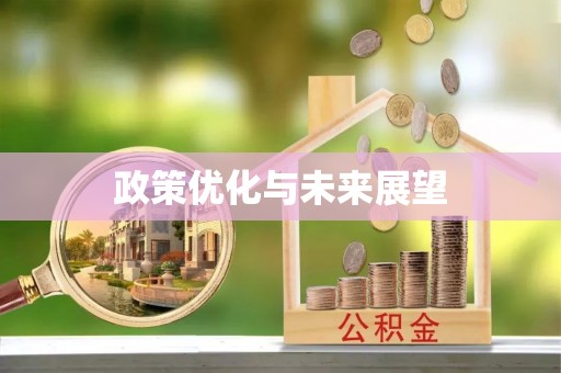 尖石政策优化与未来展望