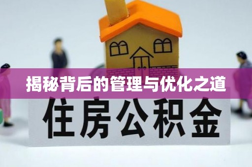 尖石揭秘背后的管理与优化之道