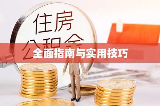 尖石全面指南与实用技巧
