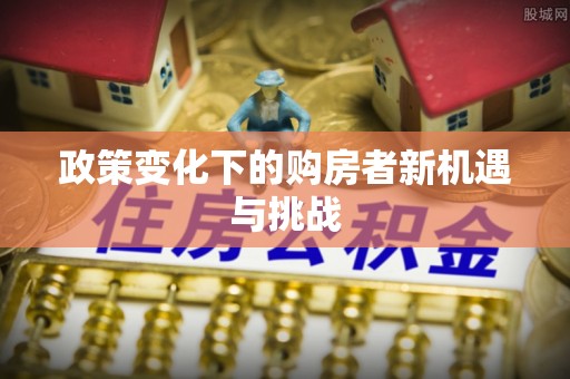尖石政策变化下的购房者新机遇与挑战