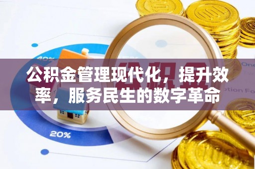 尖石公积金管理现代化，提升效率，服务民生的数字革命