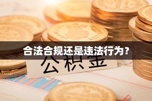 尖石合法合规还是违法行为？