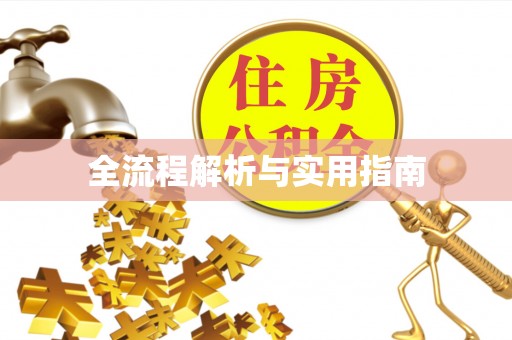 尖石全流程解析与实用指南