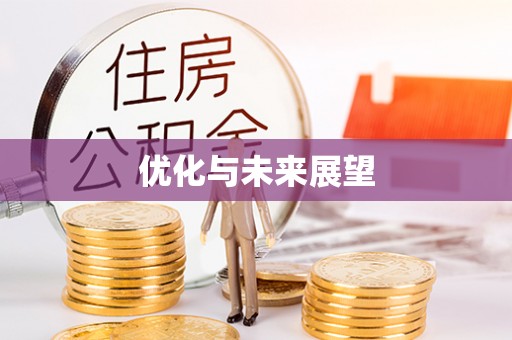 尖石优化与未来展望