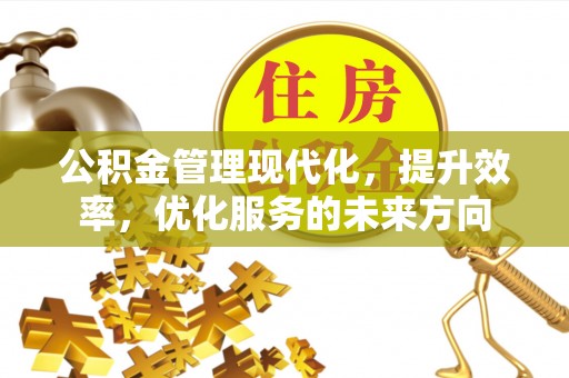 尖石公积金管理现代化，提升效率，优化服务的未来方向