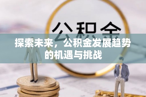 尖石探索未来，公积金发展趋势的机遇与挑战