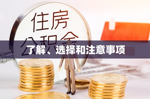 尖石了解、选择和注意事项