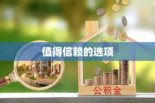 尖石值得信赖的选项