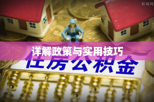尖石详解政策与实用技巧