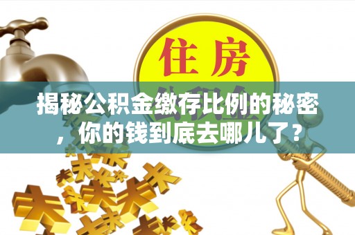 尖石揭秘公积金缴存比例的秘密，你的钱到底去哪儿了？
