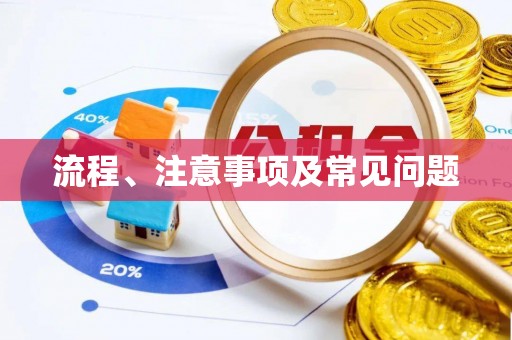 尖石流程、注意事项及常见问题