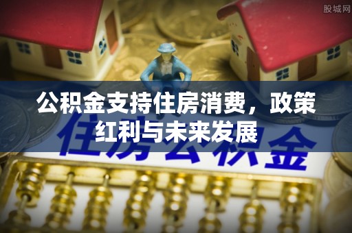尖石公积金支持住房消费，政策红利与未来发展