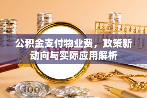 尖石公积金支付物业费，政策新动向与实际应用解析