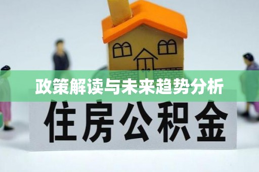 尖石政策解读与未来趋势分析