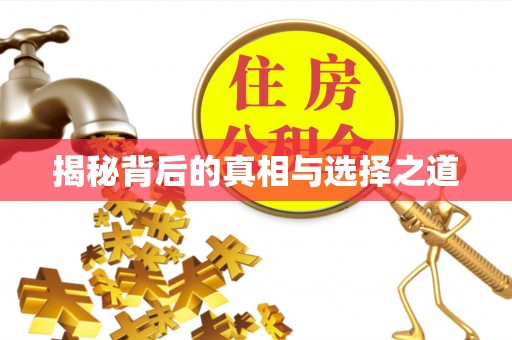 尖石揭秘背后的真相与选择之道