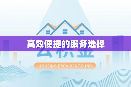 尖石高效便捷的服务选择