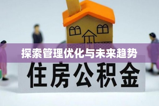 尖石探索管理优化与未来趋势